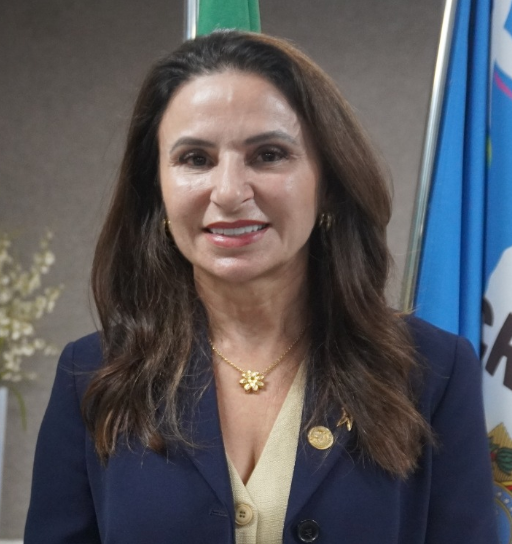 2º DIRETORA-SECRETÁRIA Lenir Ribeiro